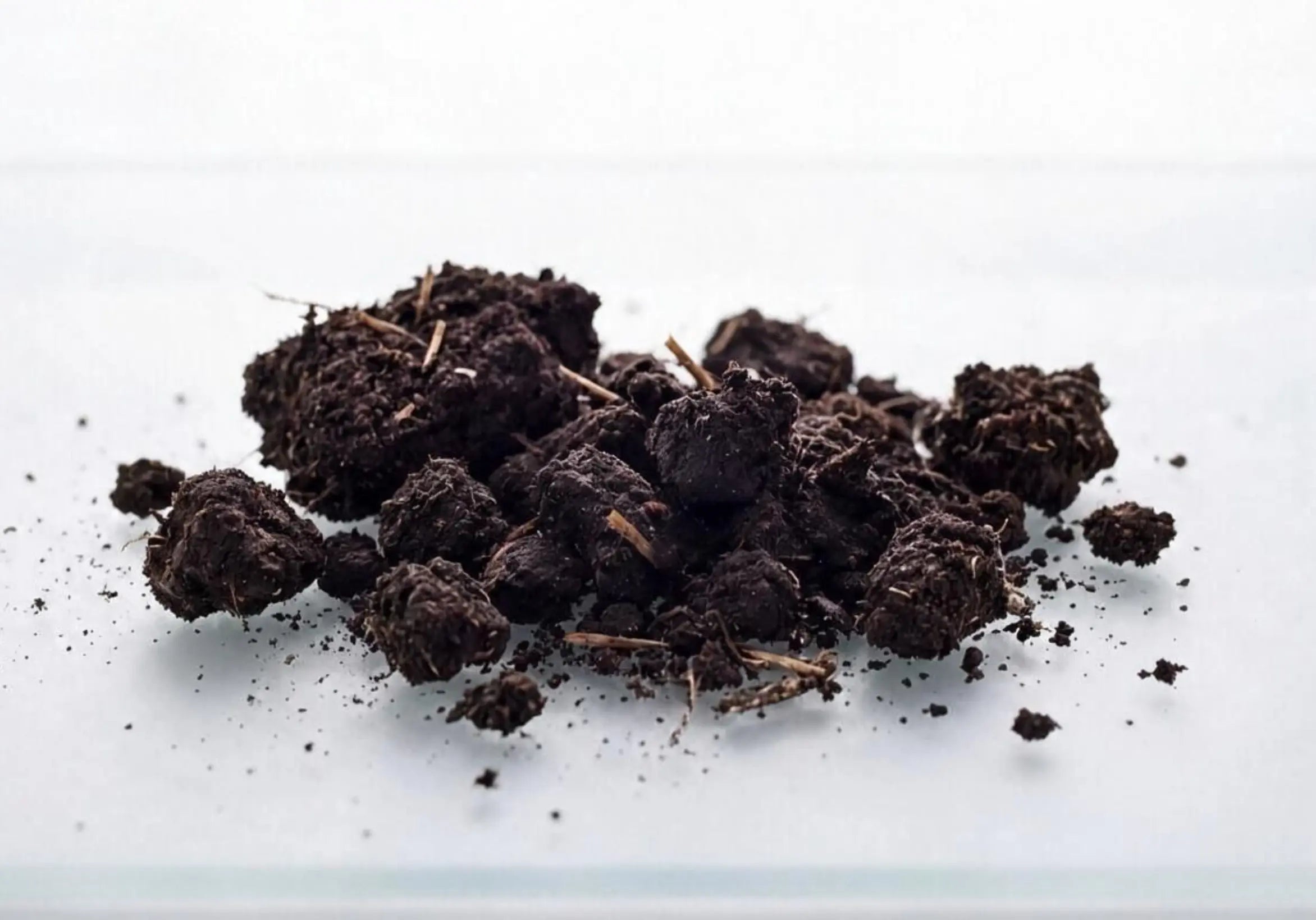 Dark crumbly soil aggregates with visible root fragments on a clean white surface — soil structure as seen in biologically active, well-managed soil.